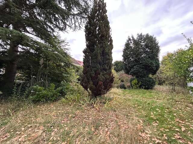 Terrain à LE PERREUX-SUR-MARNE