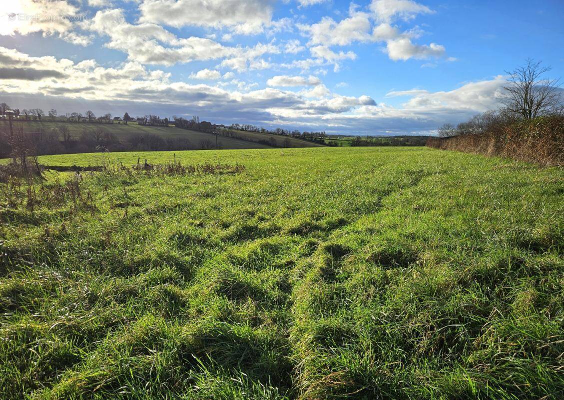 Terrain à POUILLE-LES-COTEAUX