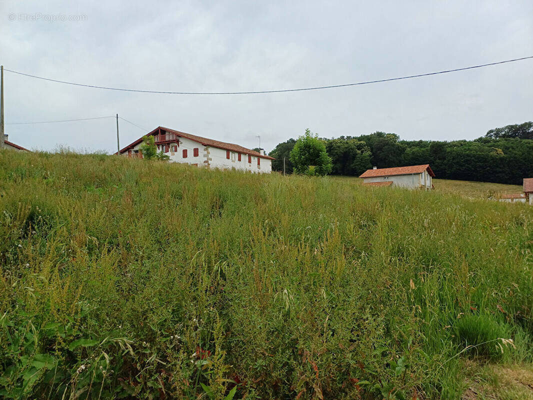 Terrain à SARE