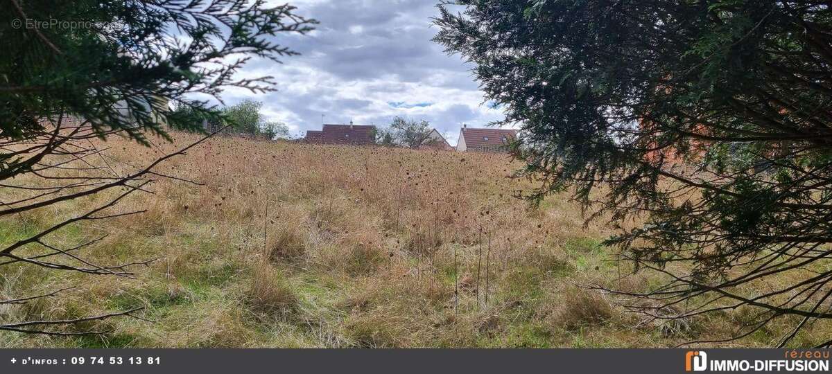 Terrain à LA VILLE-AUX-CLERCS