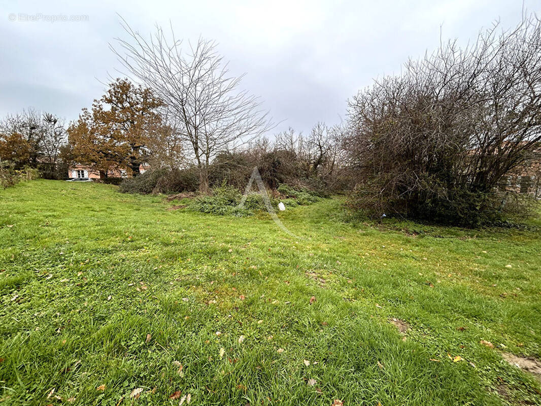 Terrain à SAINT-SAUVEUR