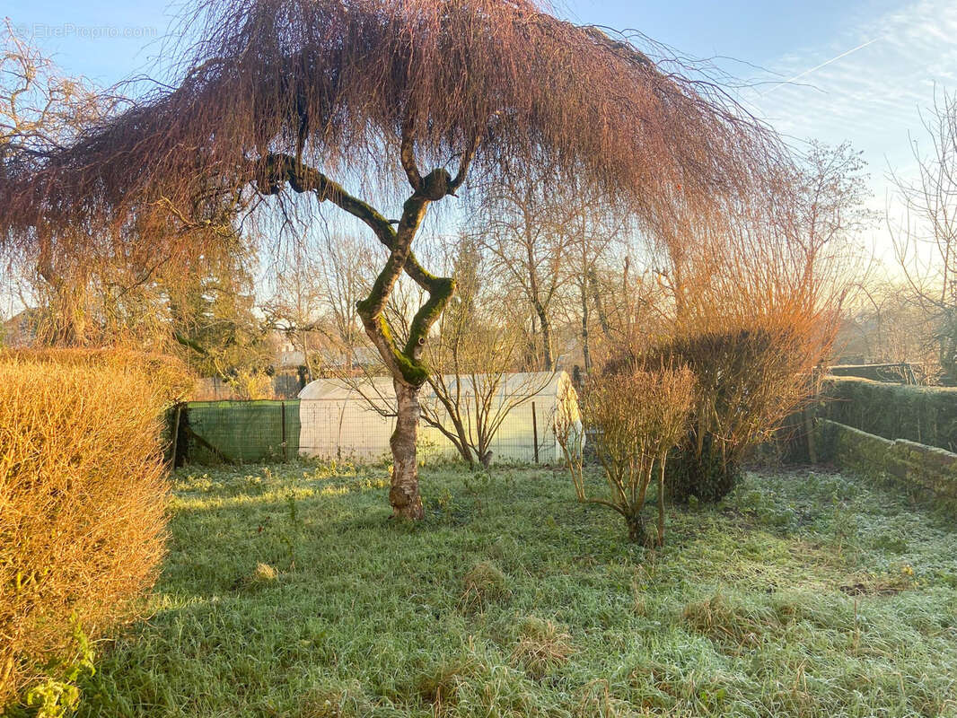 Maison à AVESNELLES