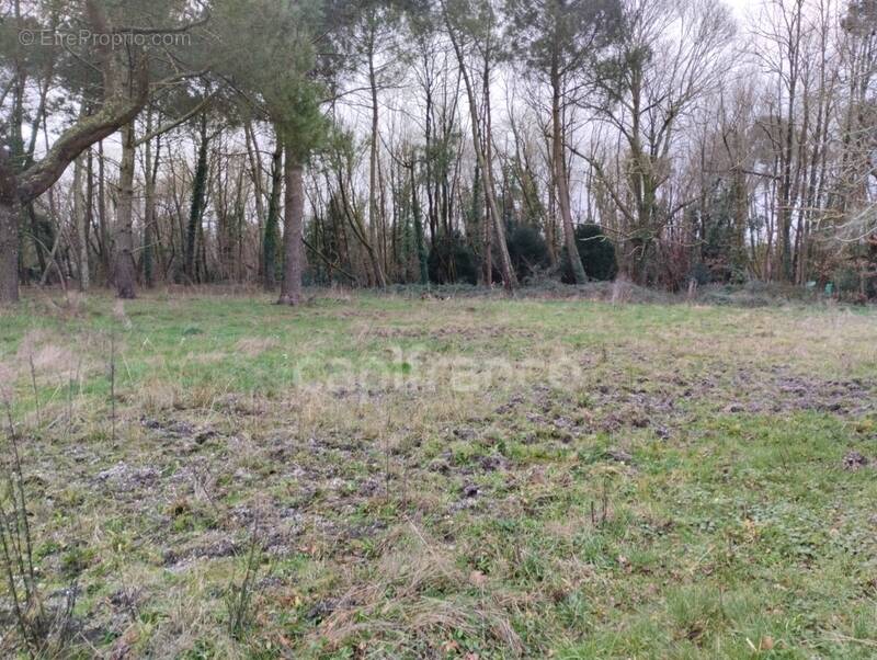 Terrain à SAINT-AUBIN-DE-MEDOC