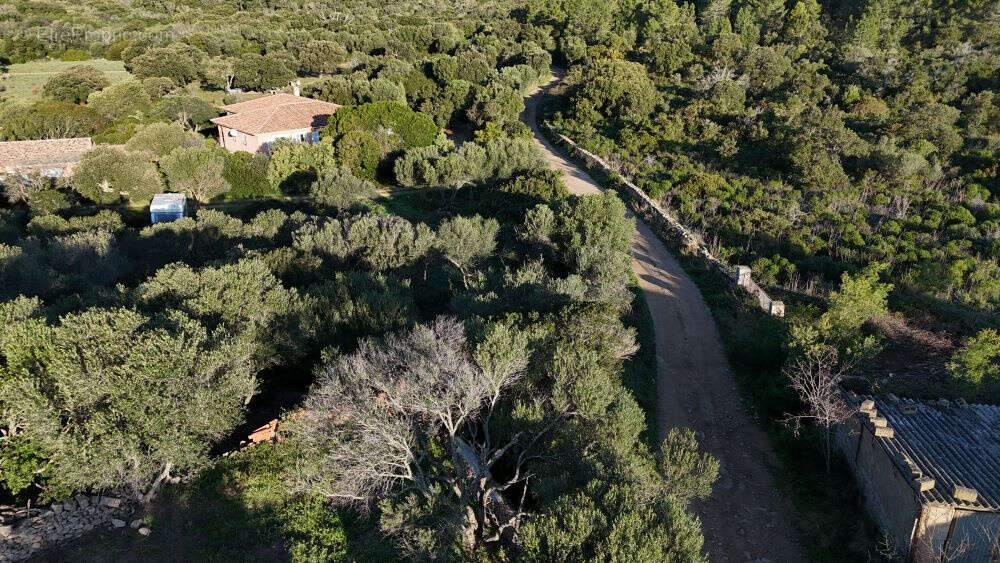 Terrain à FIGARI