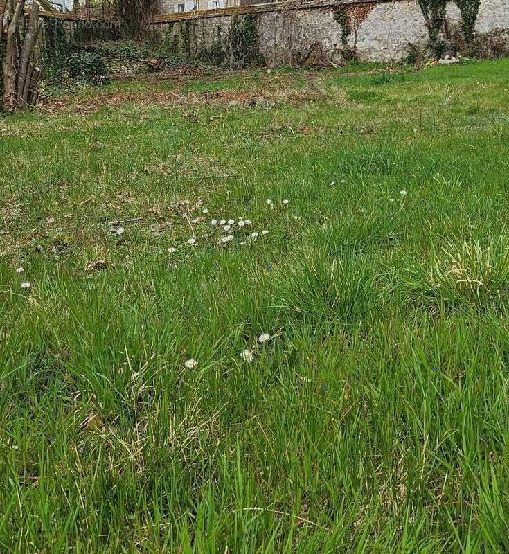 Terrain à CHAILLY-EN-BIERE