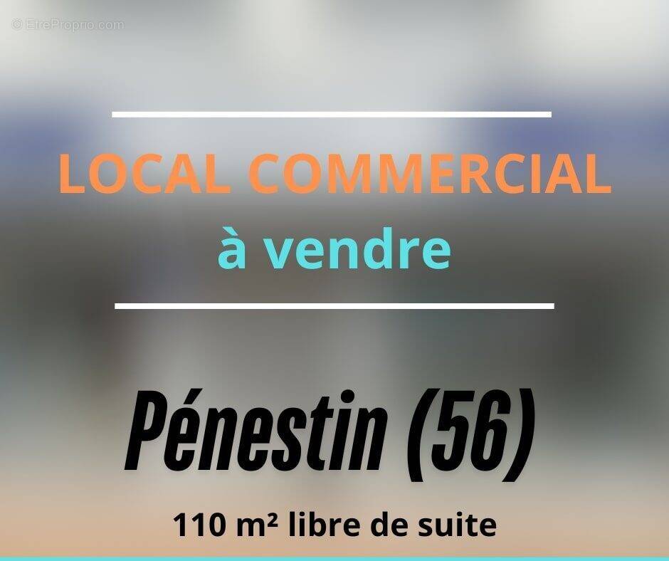 Commerce à PENESTIN