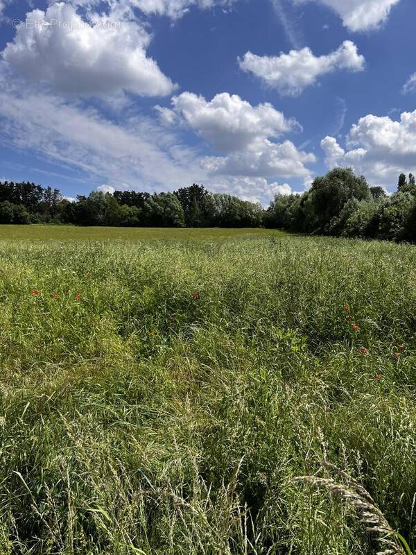 Terrain à SAMOIS-SUR-SEINE