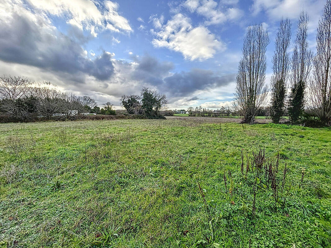 Terrain à TREGUEUX