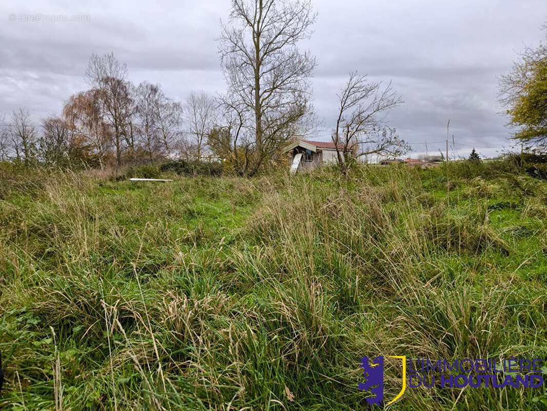 Terrain à BISSEZEELE