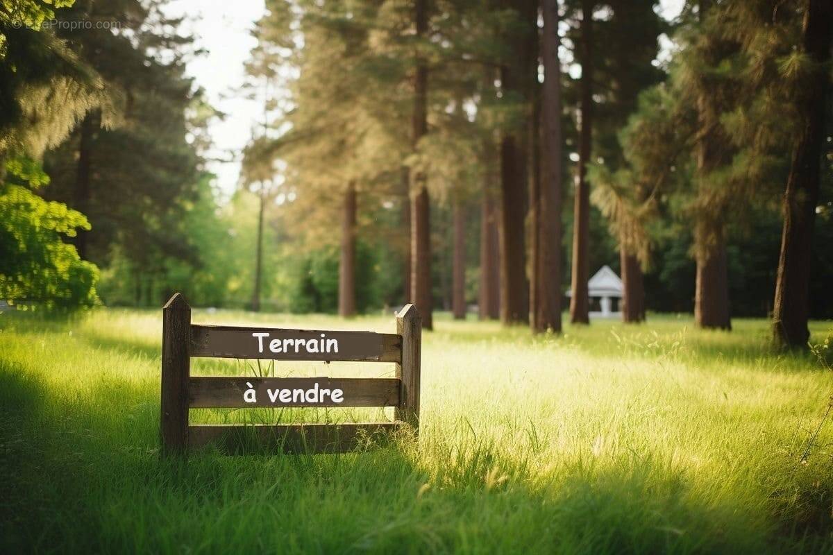 Terrain à LA CHAPELLE-HERMIER