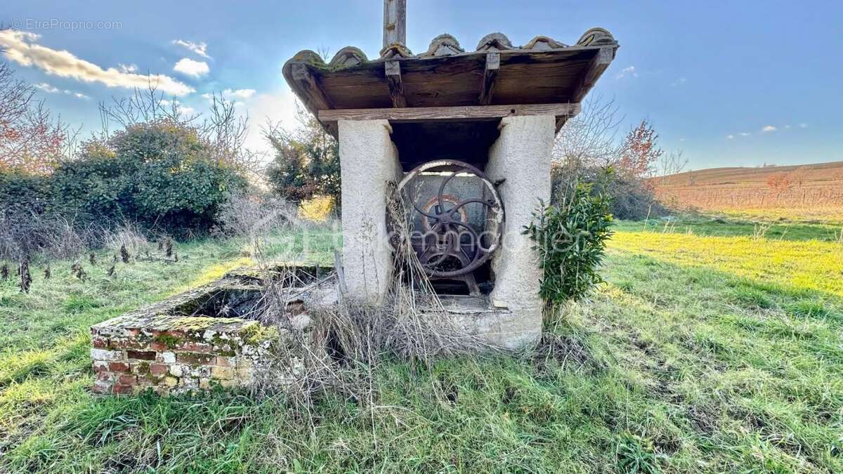 Maison à LISLE-SUR-TARN