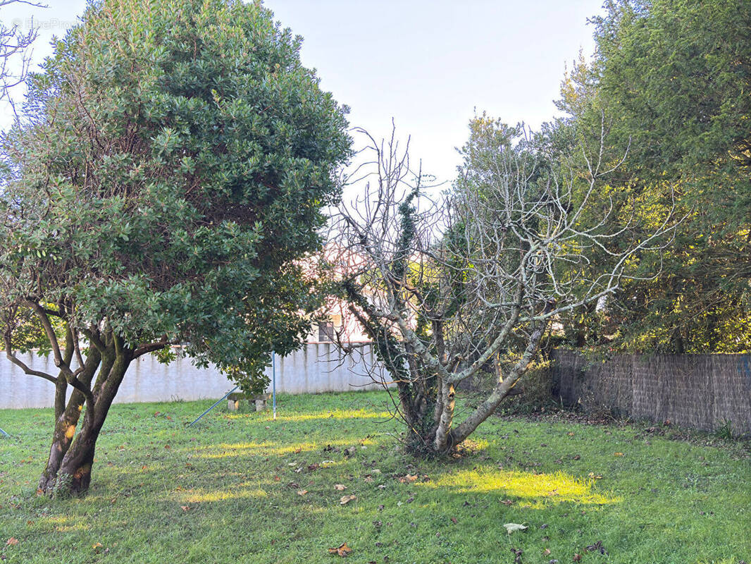 Terrain à VAUX-SUR-MER