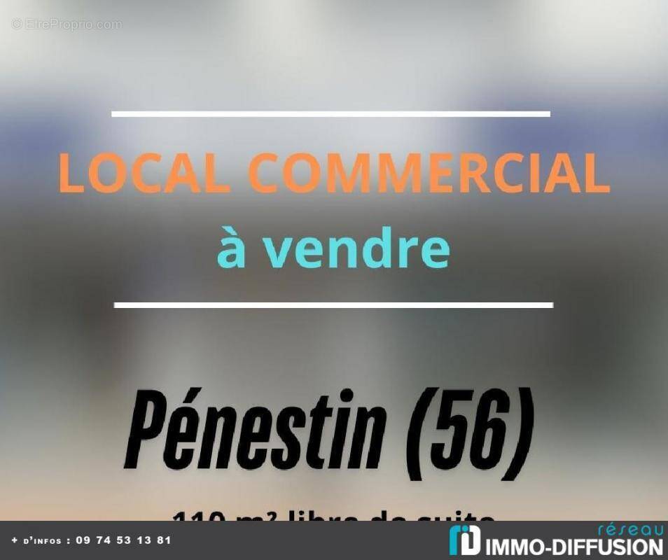 Commerce à PENESTIN