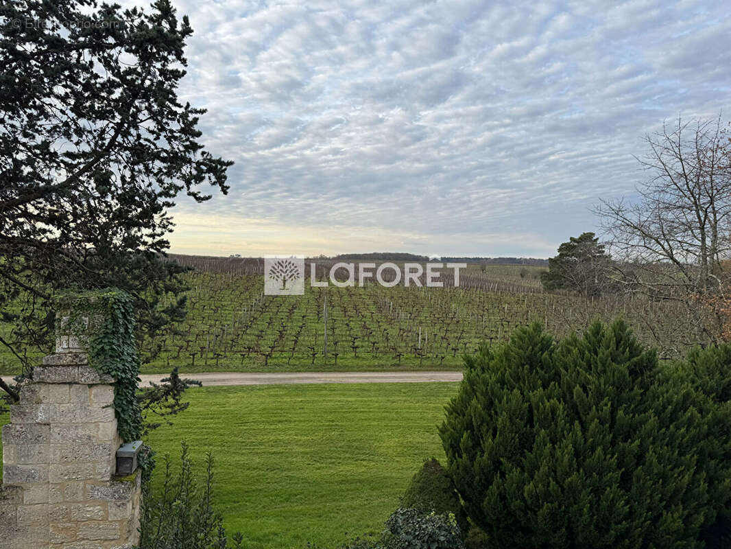 Maison à SAINT-EMILION