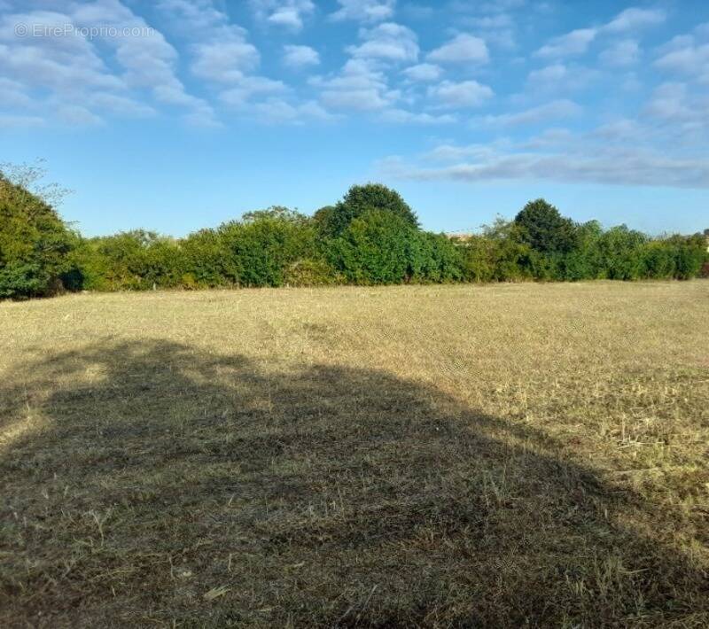 Terrain à BRIE