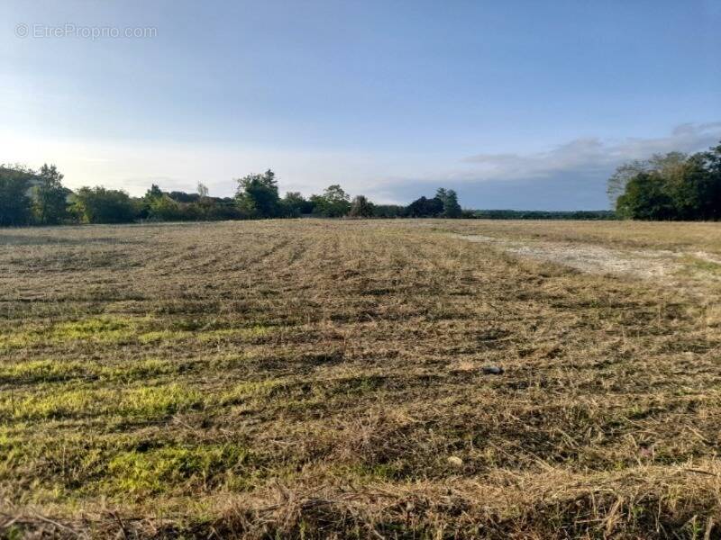 Terrain à BRIE