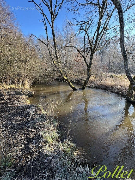 Autre à NEUVY-SUR-BARANGEON