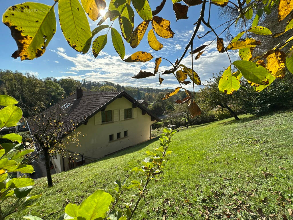 Maison à BONNE