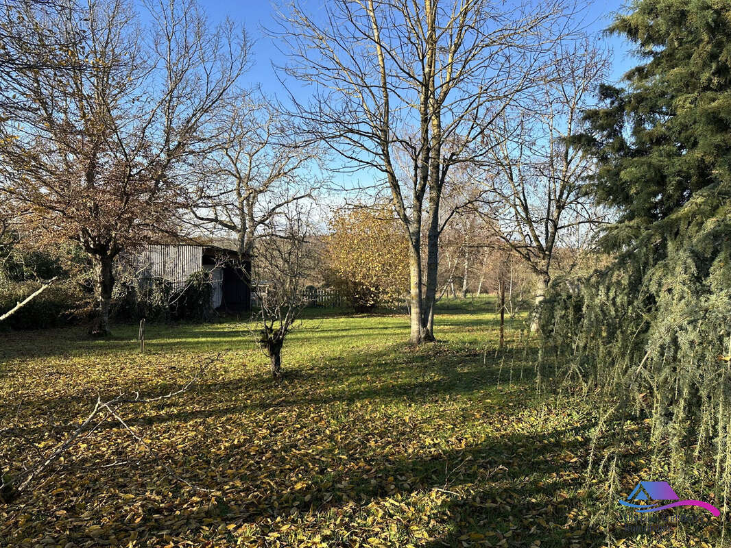 jardin  - Maison à CHATEAUMEILLANT