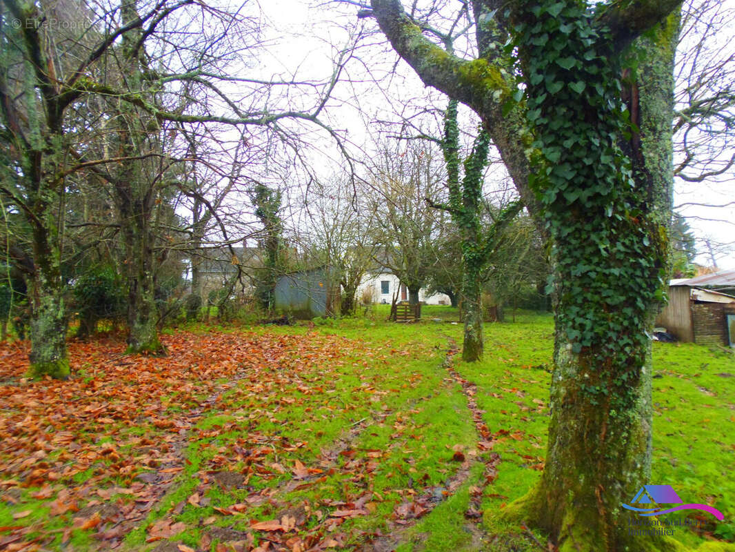 jardin - Maison à AIGURANDE