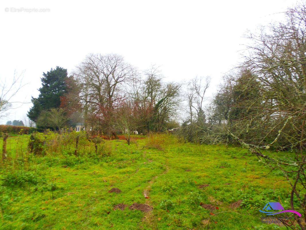 jardin - Maison à AIGURANDE