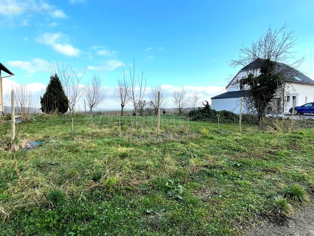 Terrain à SCHNERSHEIM