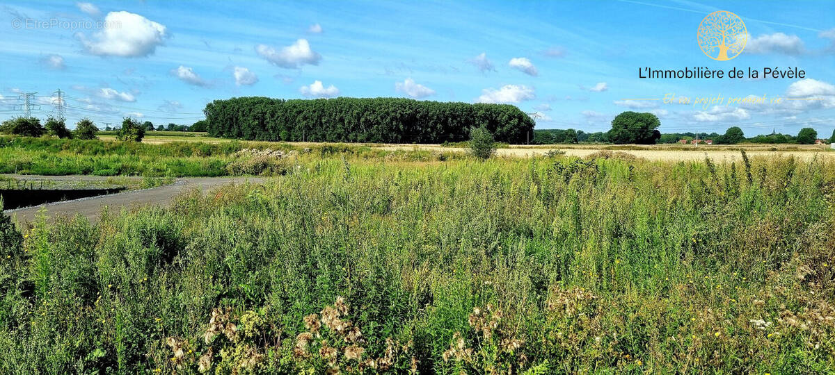 Terrain à ENNEVELIN