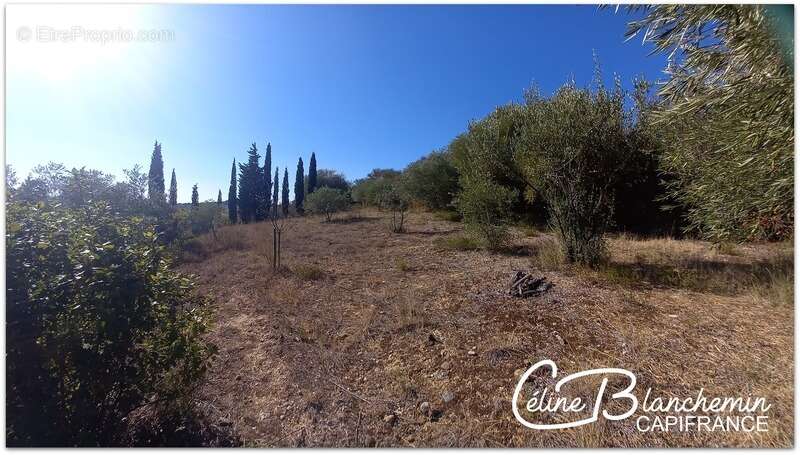 Terrain à LIMOUX