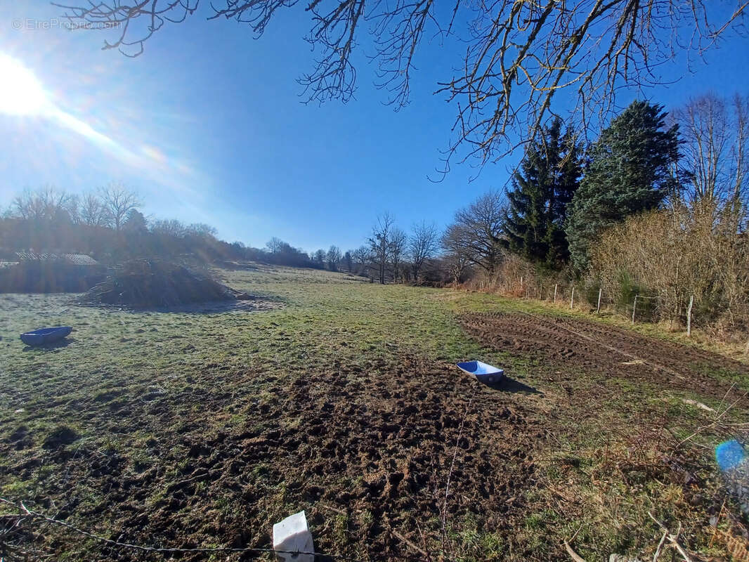 Terrain à SAINT-GEORGES-DE-MONS