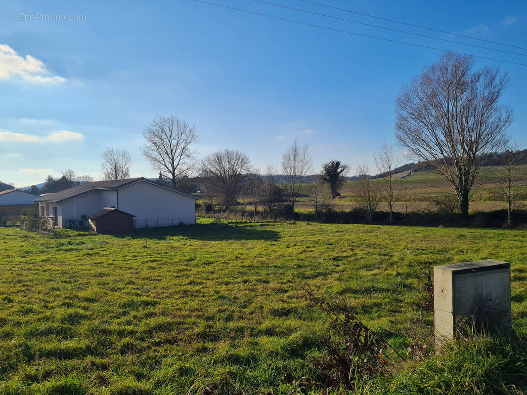 Terrain à SAINT-FELIX-LAURAGAIS