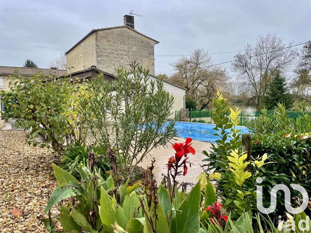 Photo 2 - Maison à SAINT-EMILION