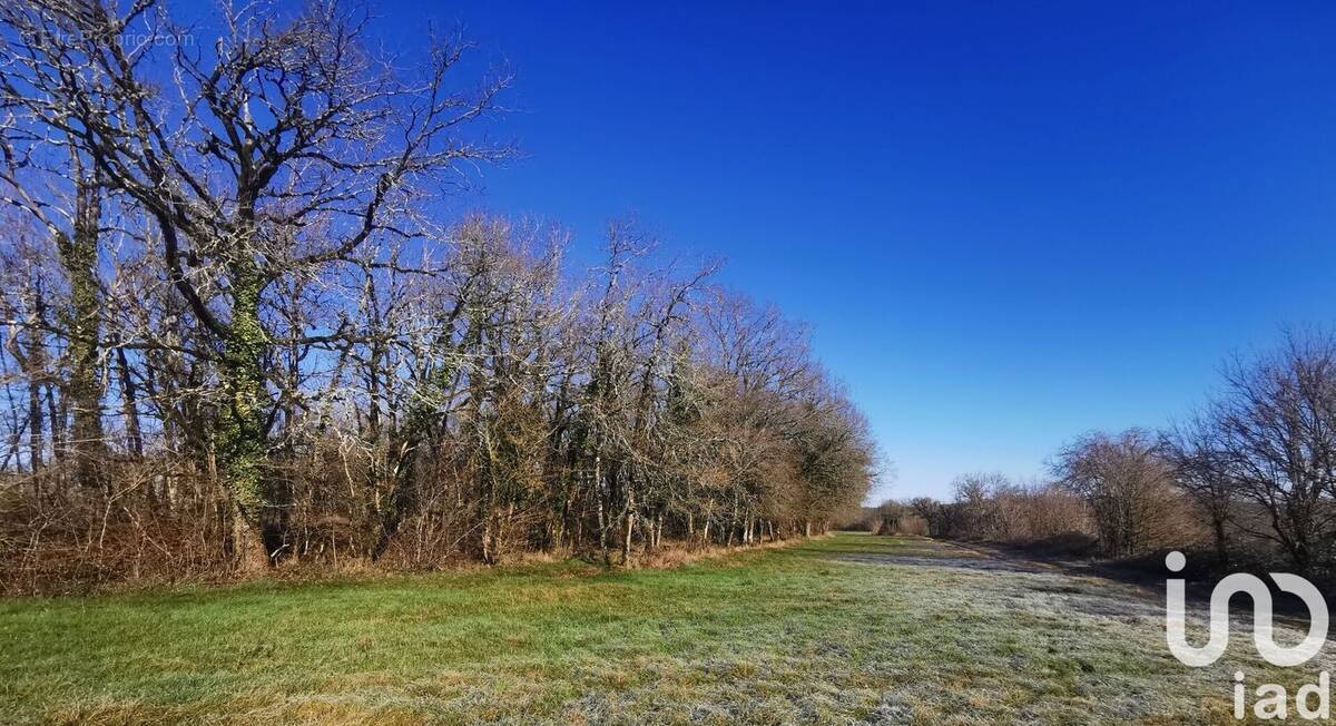 Photo 1 - Terrain à CAMPAGNAC-LES-QUERCY