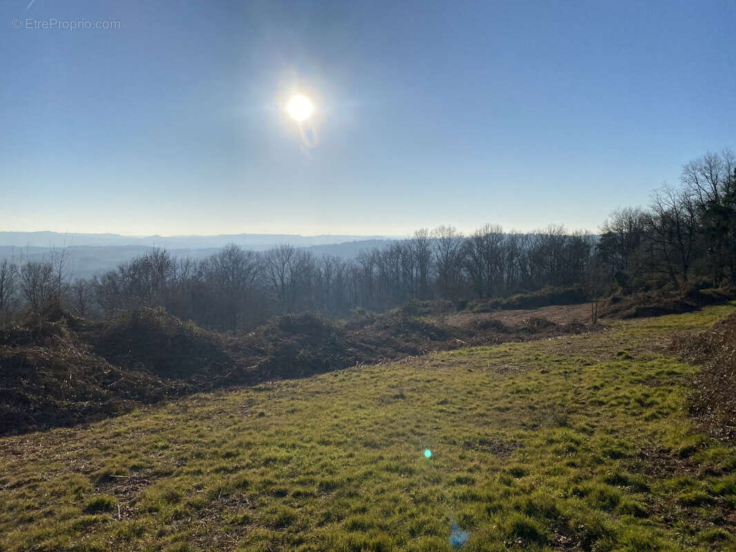 Terrain à LASCAUX