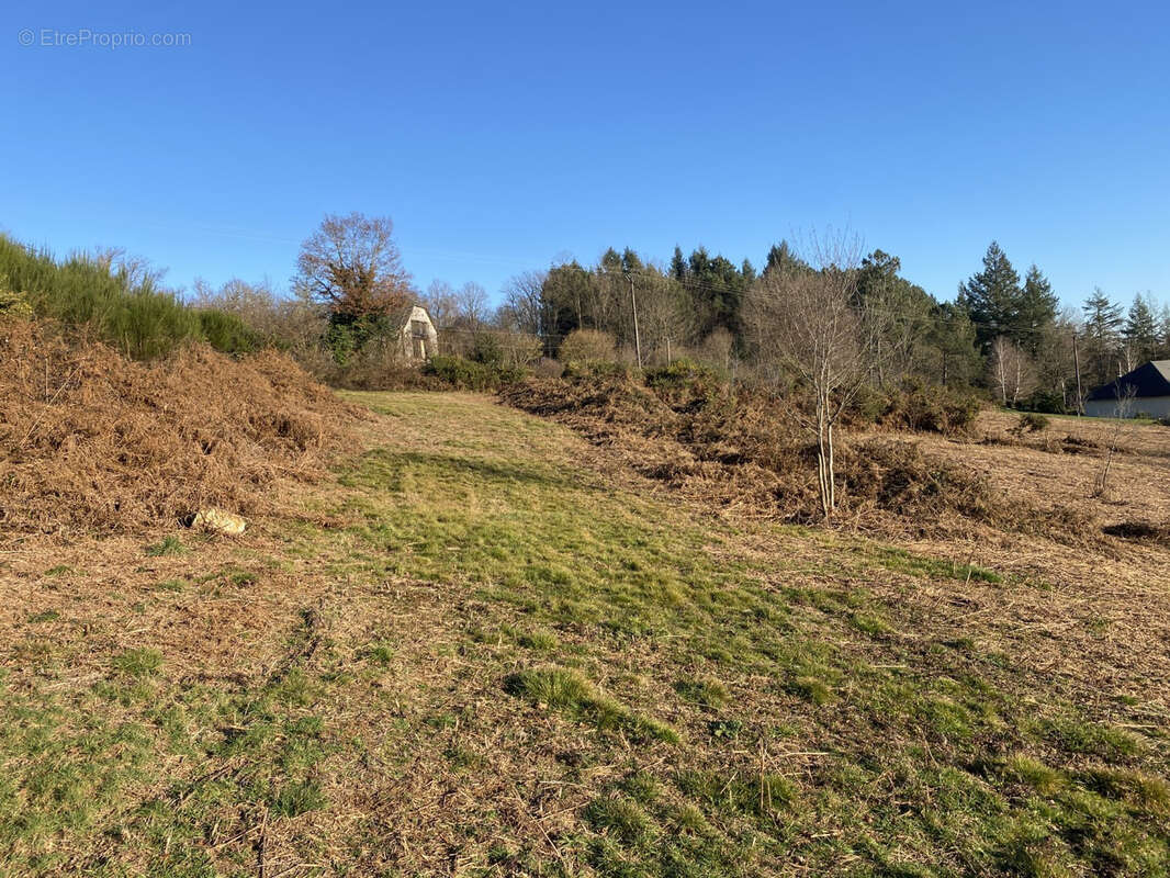 Terrain à LASCAUX