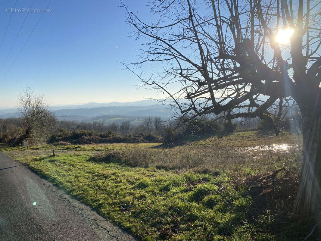 Terrain à LASCAUX