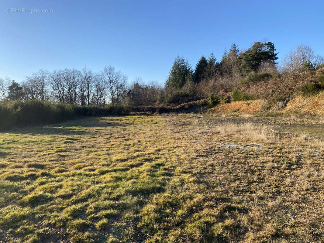 Terrain à LASCAUX