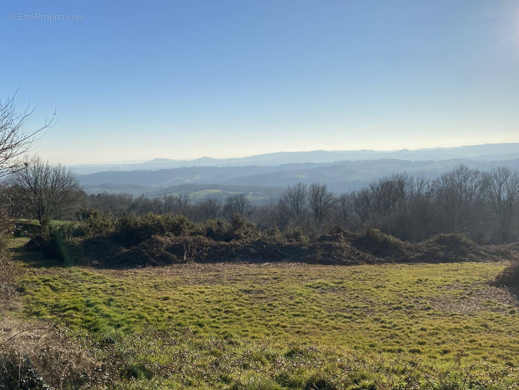 Terrain à LASCAUX