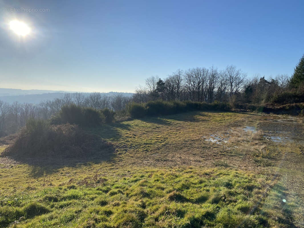 Terrain à LASCAUX