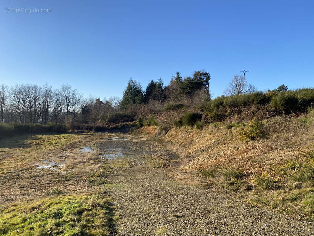 Terrain à LASCAUX