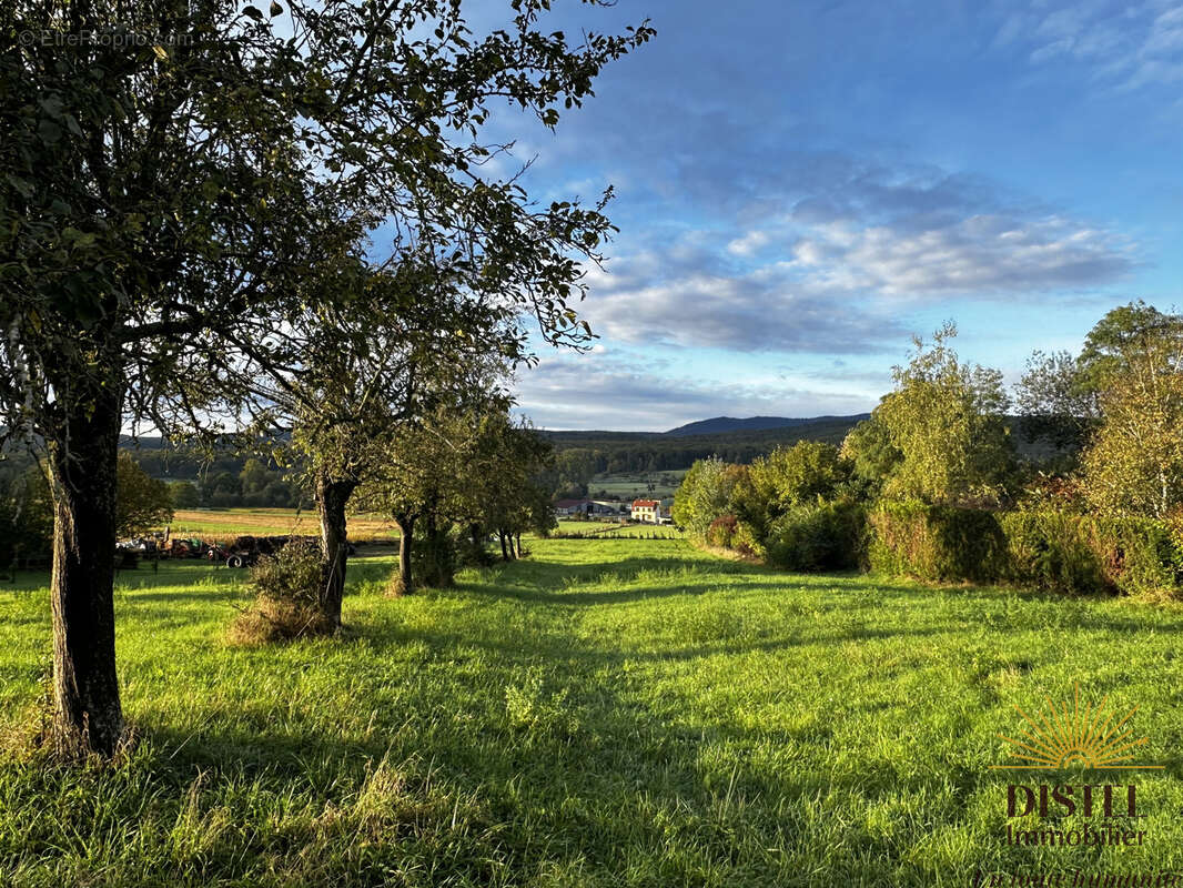 Terrain à ALLENWILLER