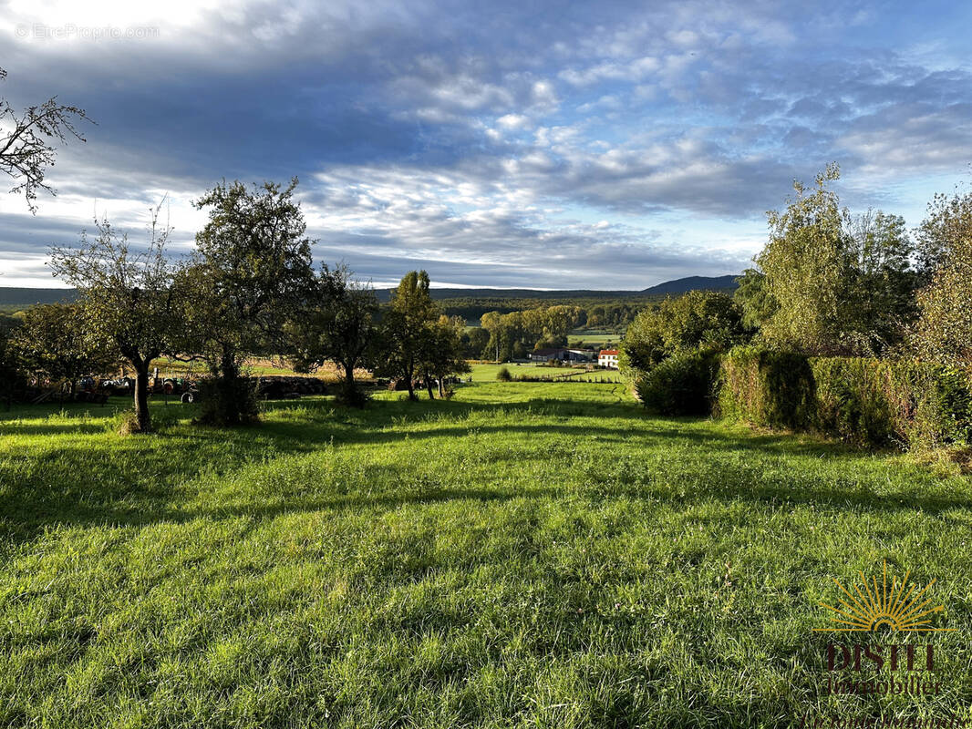 Terrain à ALLENWILLER