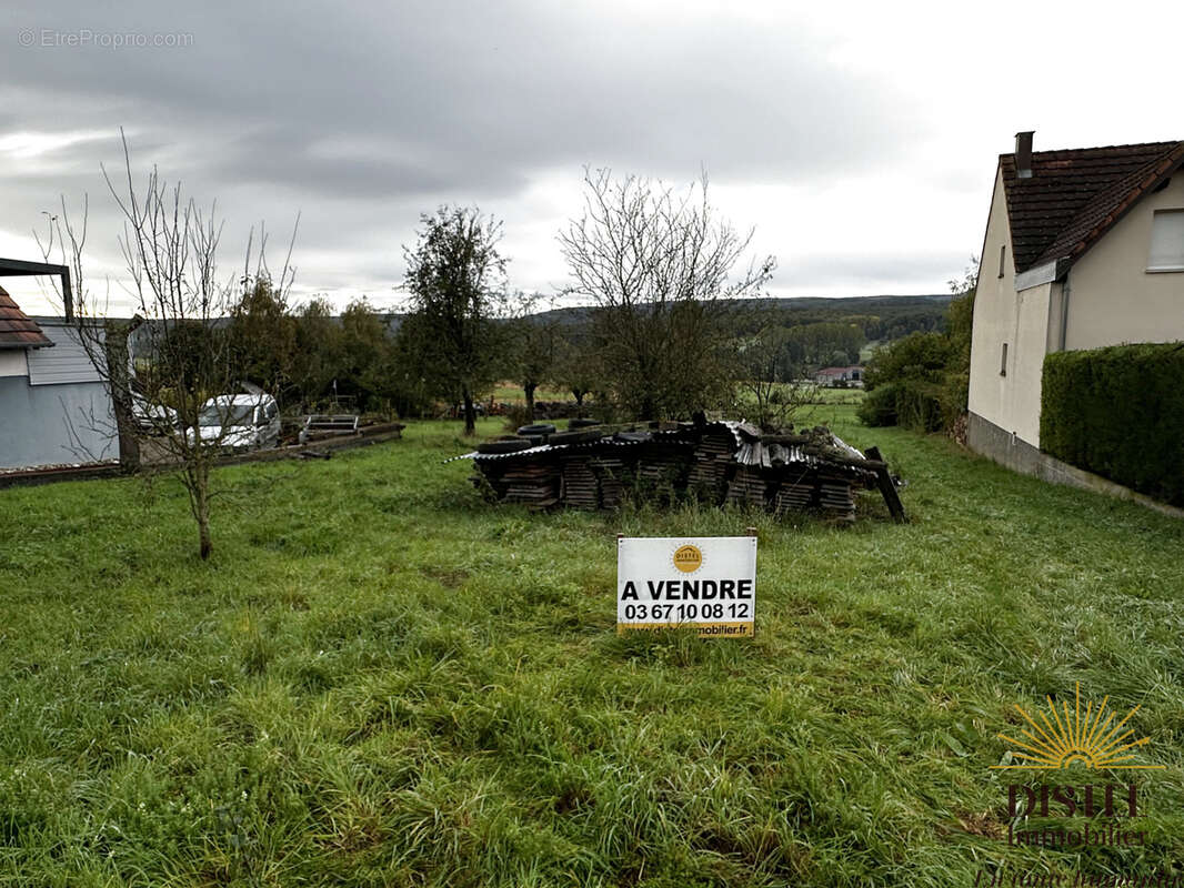 Terrain à ALLENWILLER