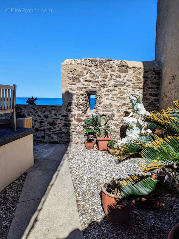 Appartement à COLLIOURE