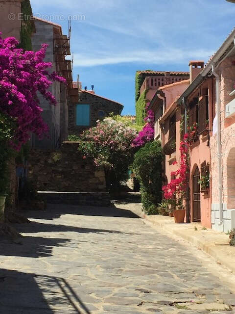 Appartement à COLLIOURE