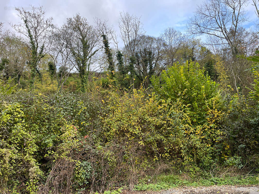 Terrain à FONTAINE-LE-PORT