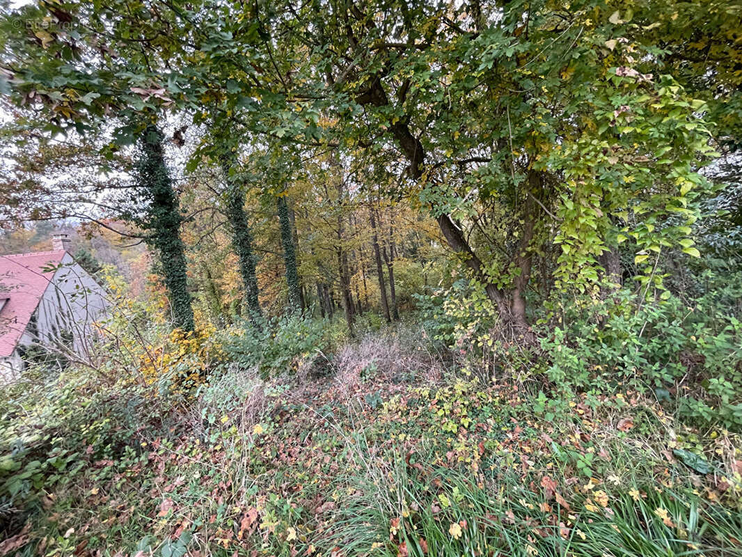 Terrain à FONTAINE-LE-PORT