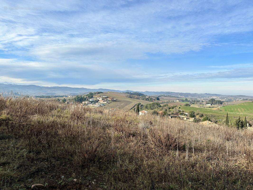 Terrain à LIMOUX