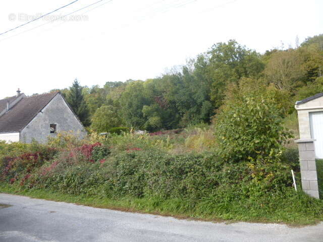 Terrain à COULOMMIERS