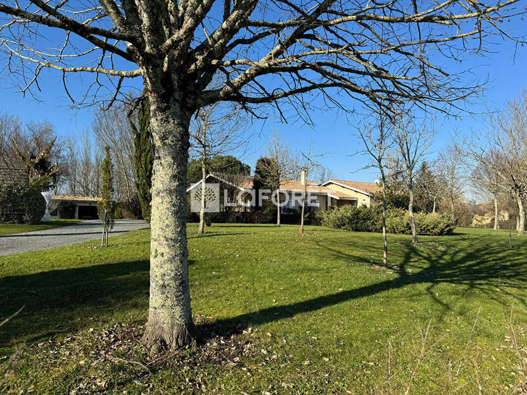 Maison à SAUVETERRE-DE-GUYENNE