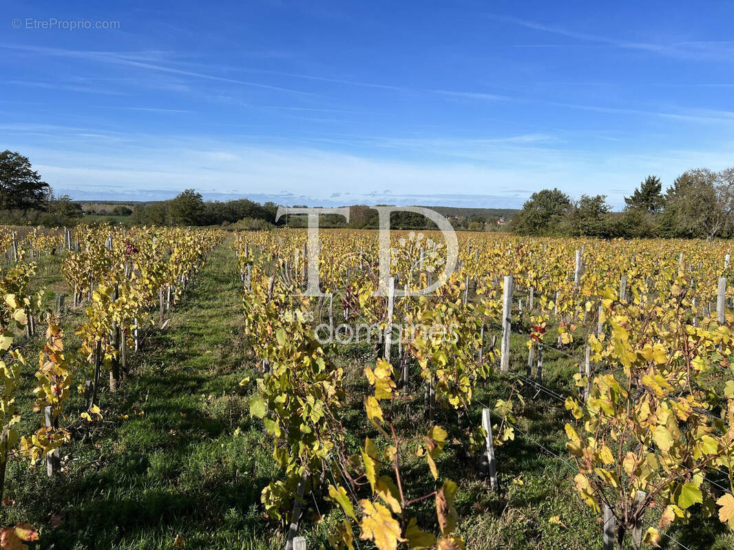 Terrain à CHATEAUMEILLANT